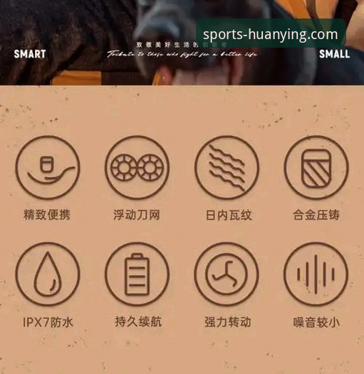 幻影体育app使用教程：从官方下载到精通操作全指南